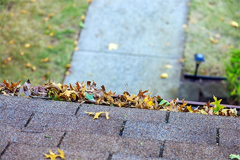 Gutter cleaning service in New Orleans, Metairie, and Kenner.