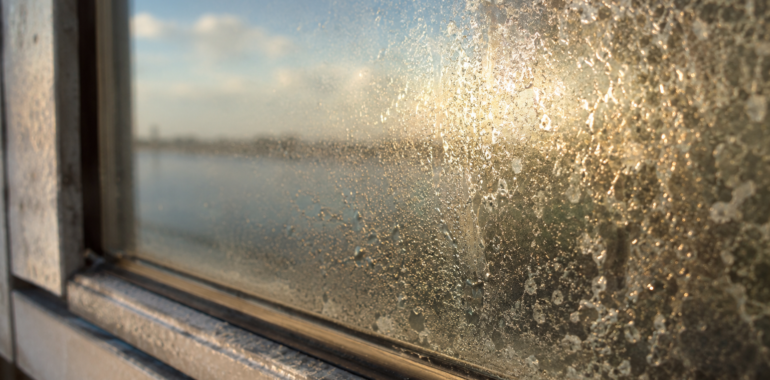 Why Salt Air and Humidity Damage Windows Faster in Southeast Louisiana